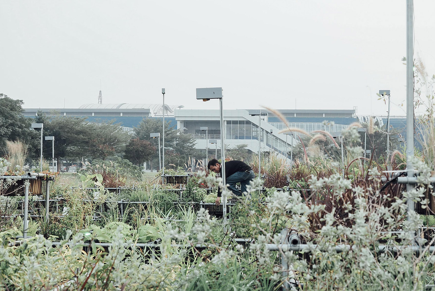 1575963663709804.jpg 15.jpg