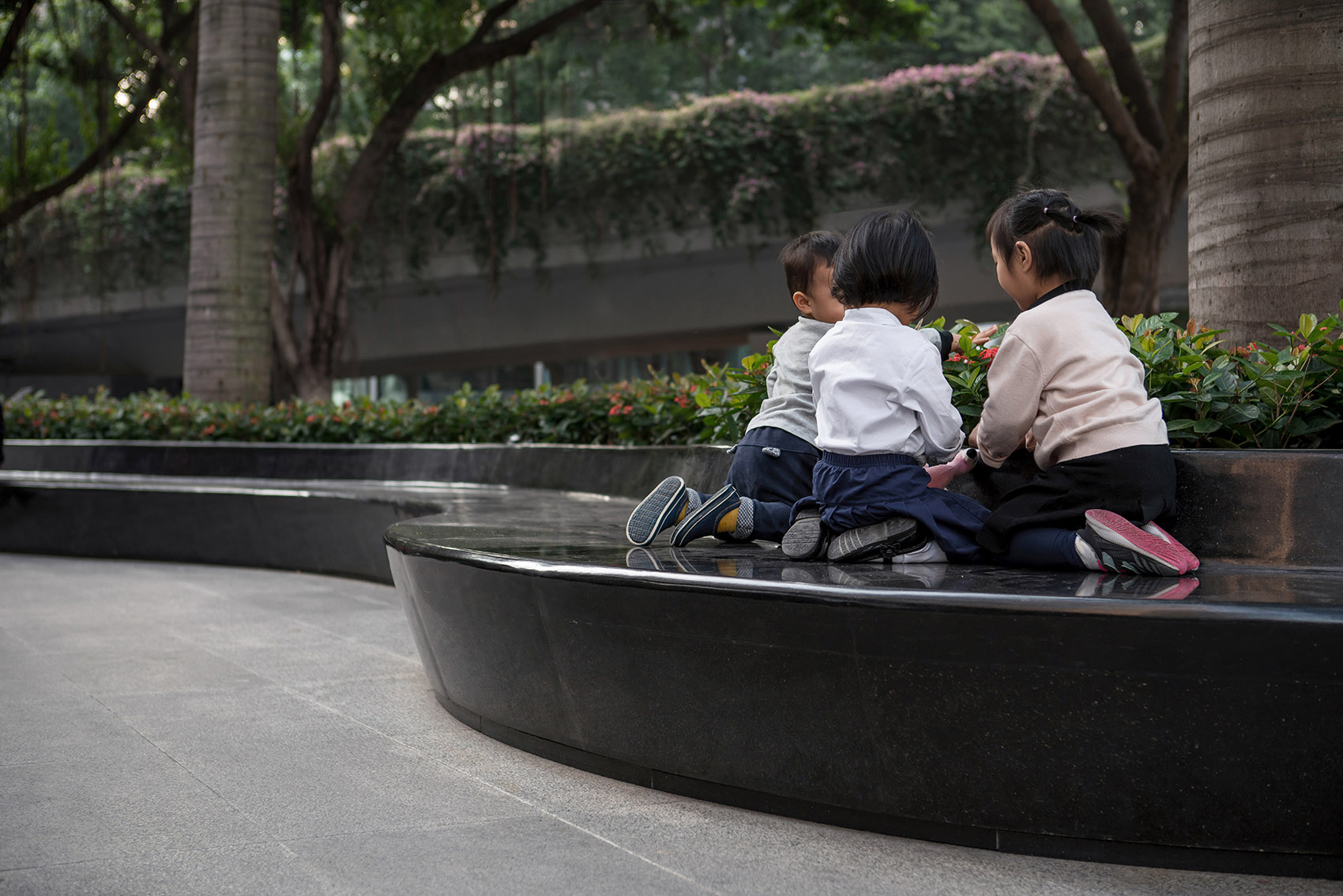 1581592190218550.jpg 16.jpg