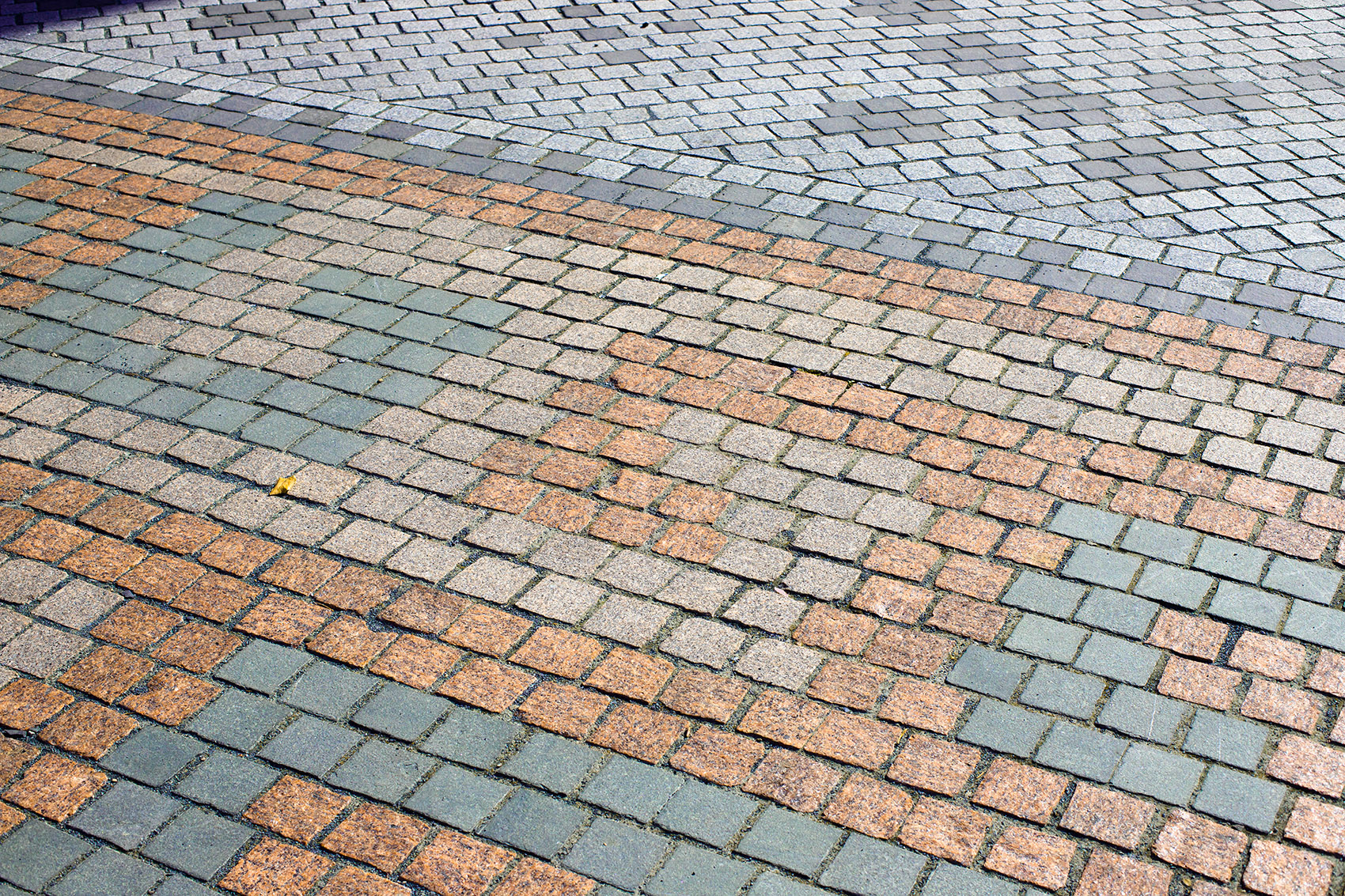 1586845154583538.jpg 13.jpg