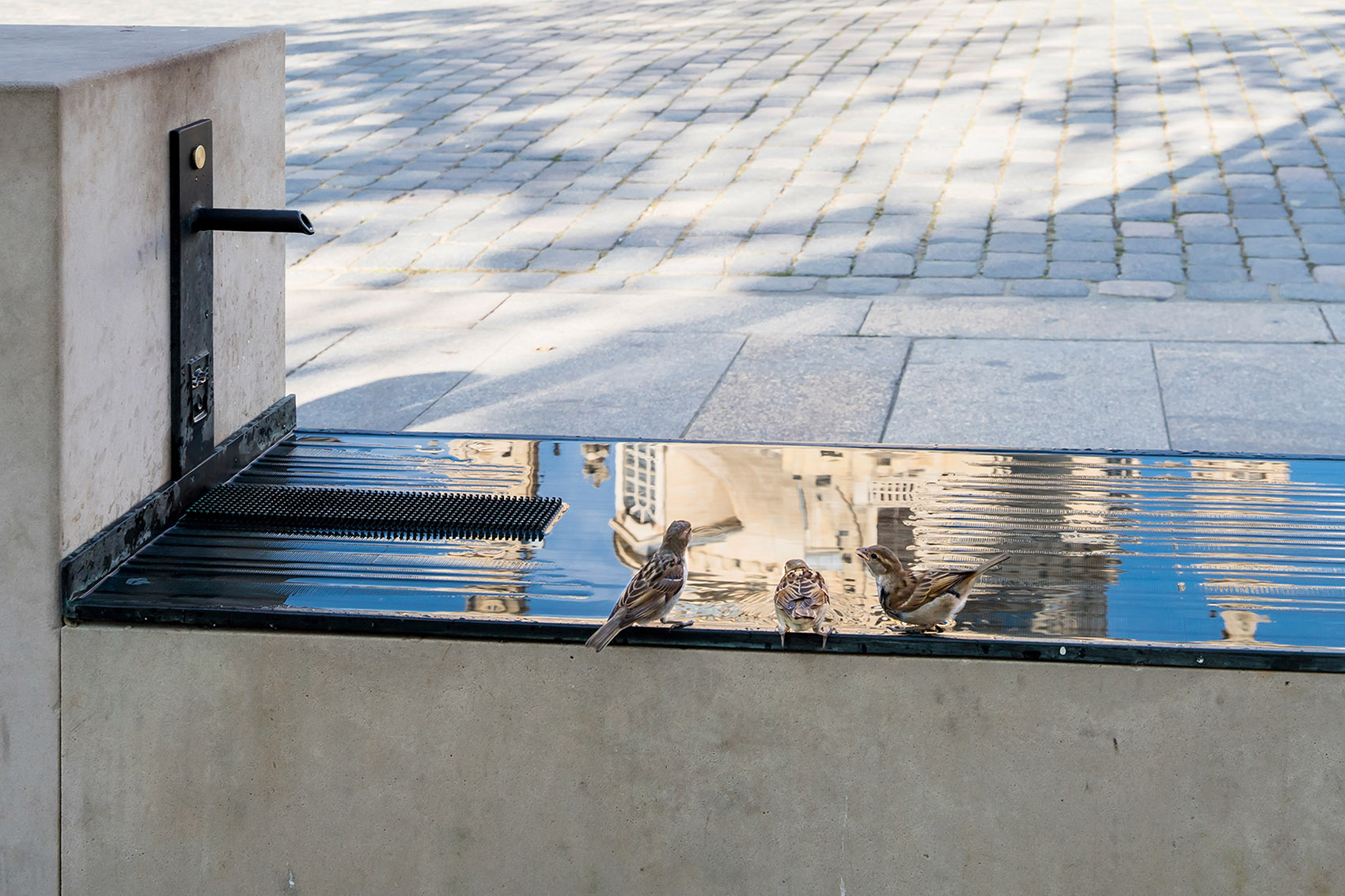 1586845218588747.jpg 19.jpg