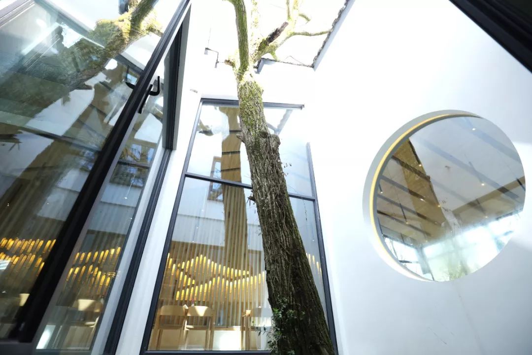 1587042205305580.jpeg 640 (4).jpeg