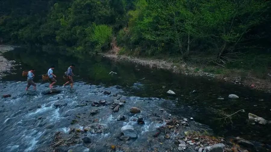 1587042390769823.jpg 3.jpg