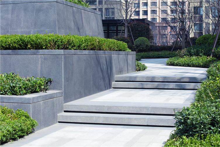 IMG_1256.jpg IMG_1256.jpg