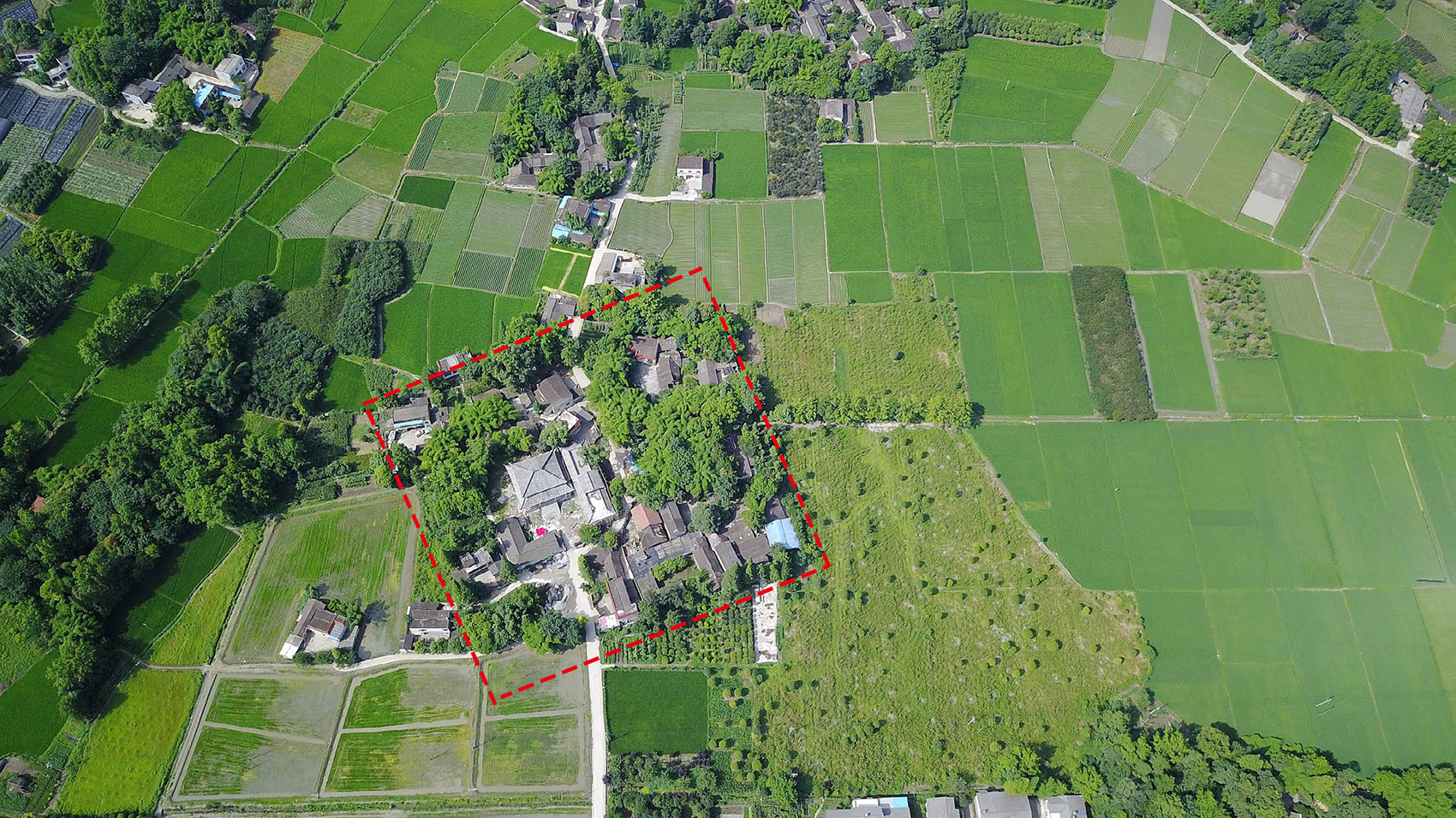 1591683116859282.jpg 5.jpg