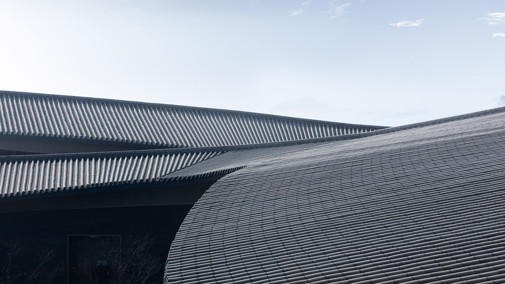 1591683411563889.jpg 23.jpg