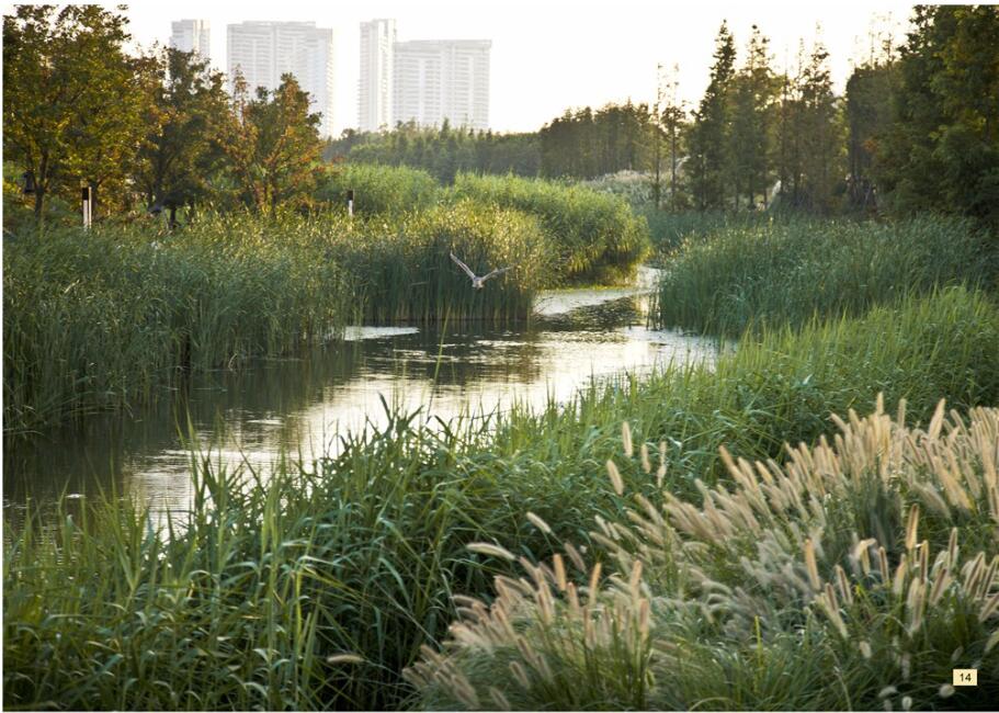 1591949292889961.jpg QQ截圖20200612160643.jpg