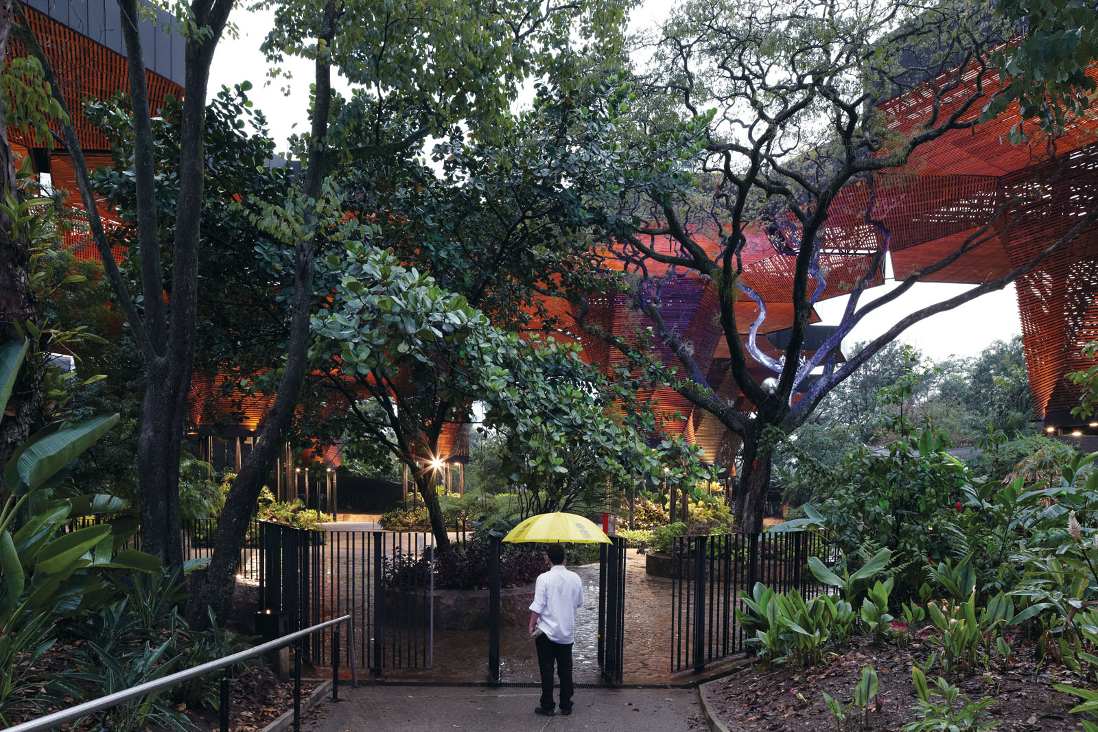 1594710318410071.jpg 3.jpg