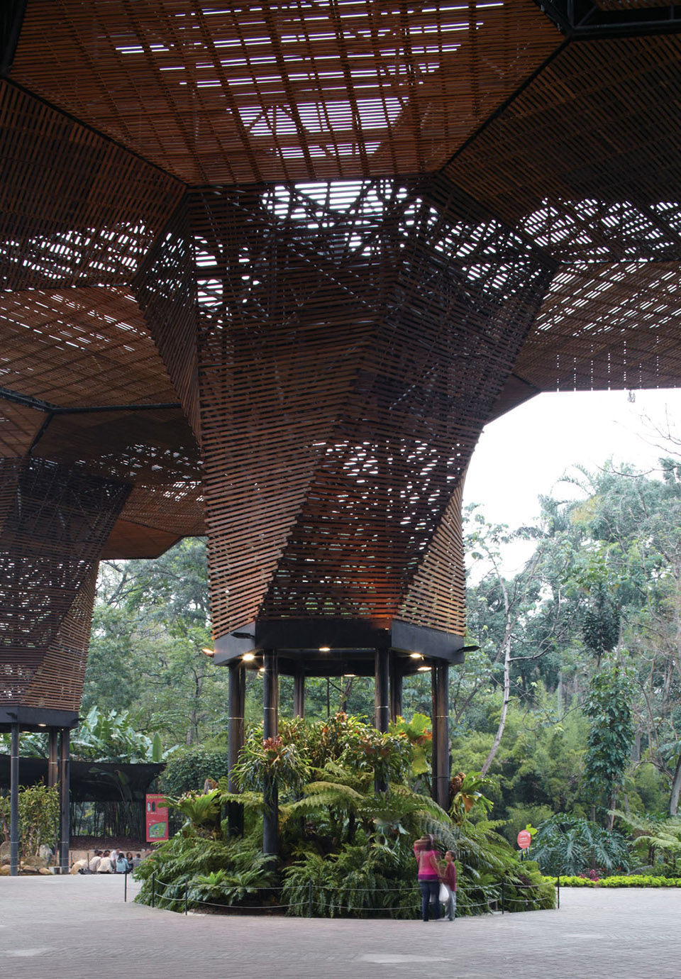 1594710384821510.jpg 10.jpg