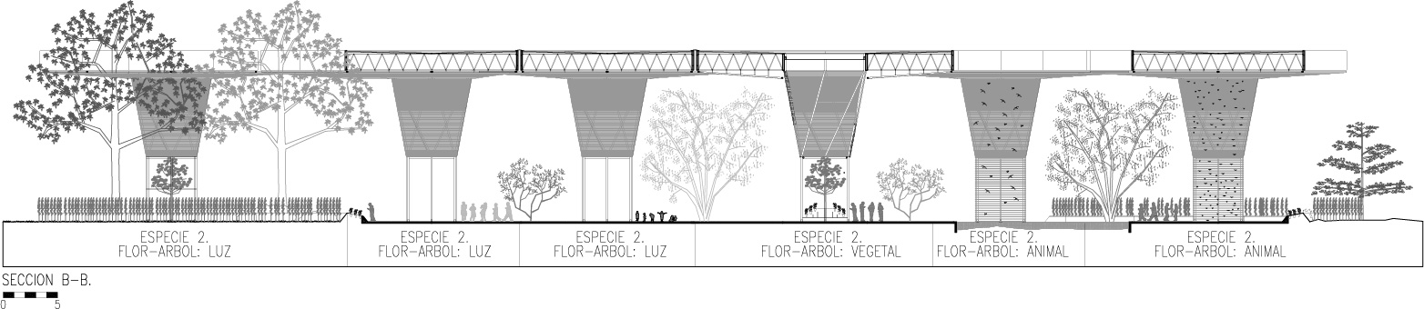 1594710597985732.jpg 17.jpg