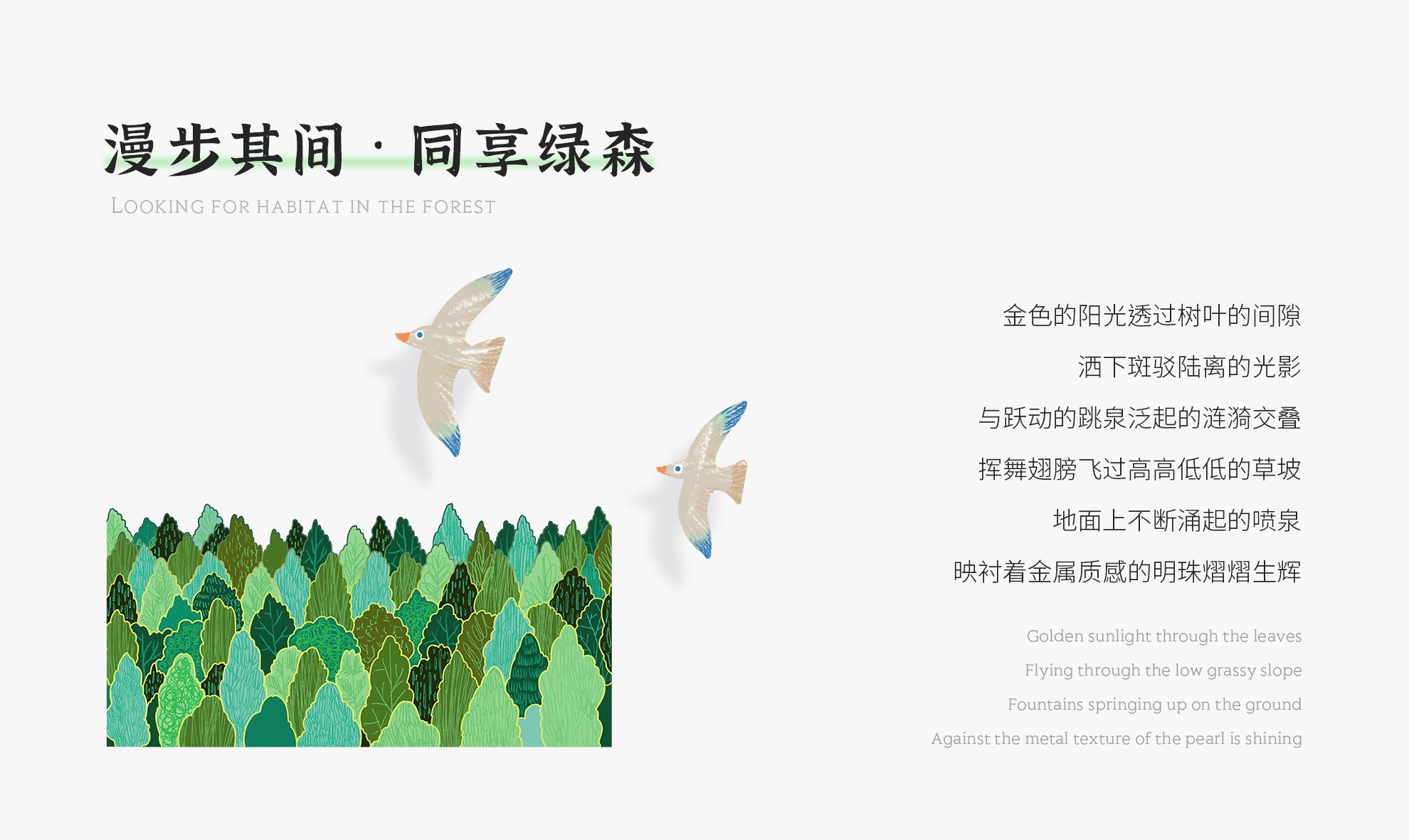 1596604162626458.jpg 10.jpg