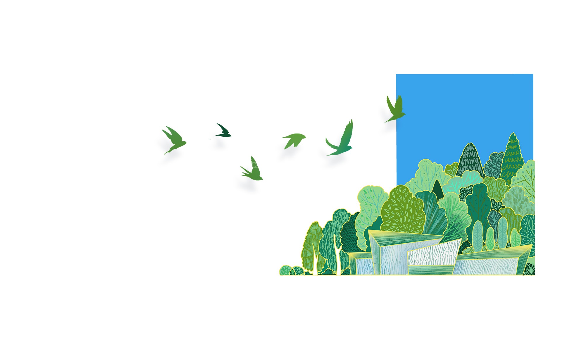 1596604435584118.jpg 49.jpg