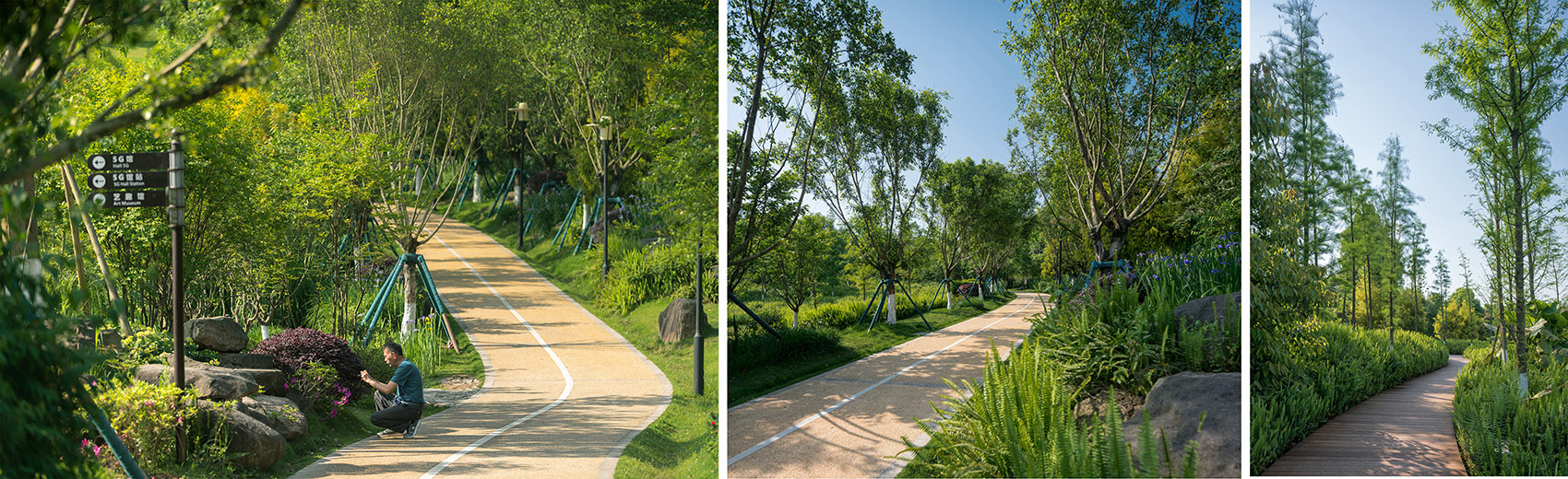 1597042145112249.jpg 9.jpg