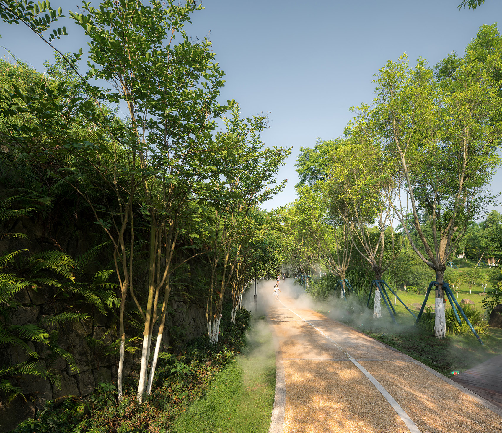 1597042219642455.jpg 10.jpg