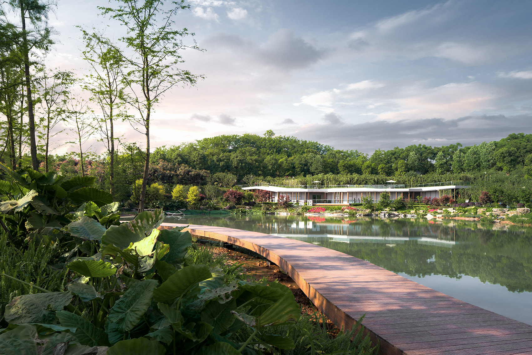 1597042290492997.jpg 14.jpg