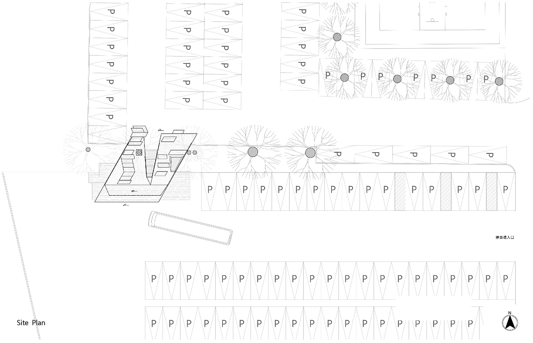 1599821868156651.jpg 15.jpg