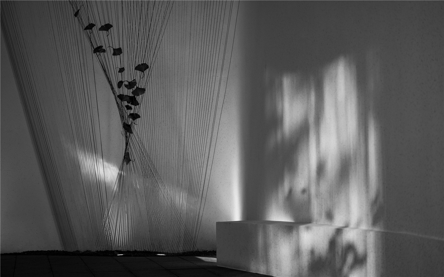 1604977294759239.jpg TANG7797.jpg