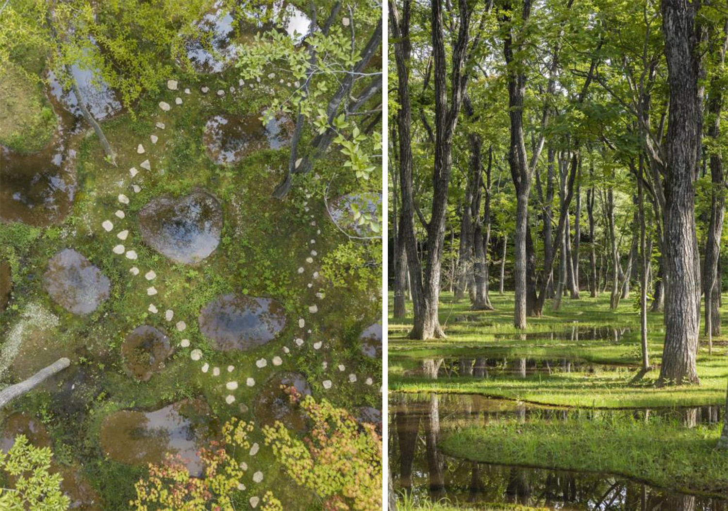 1604977879171784.jpg 111.jpg