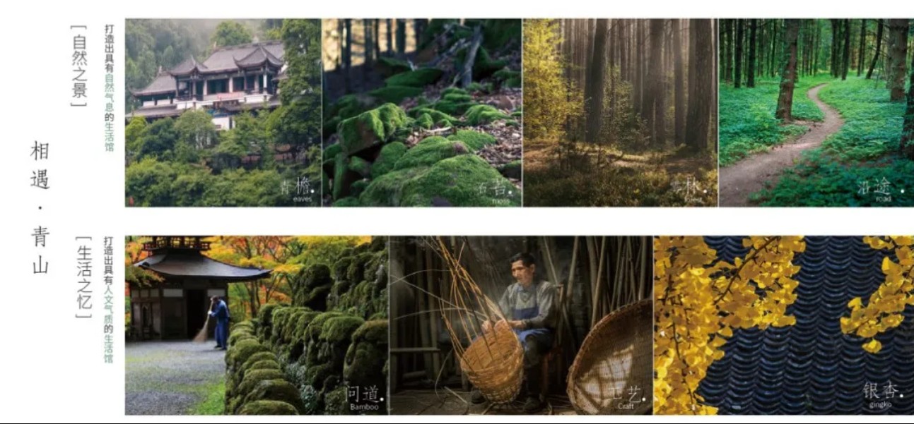 1604978667866637.jpg 設(shè)計元素.jpg