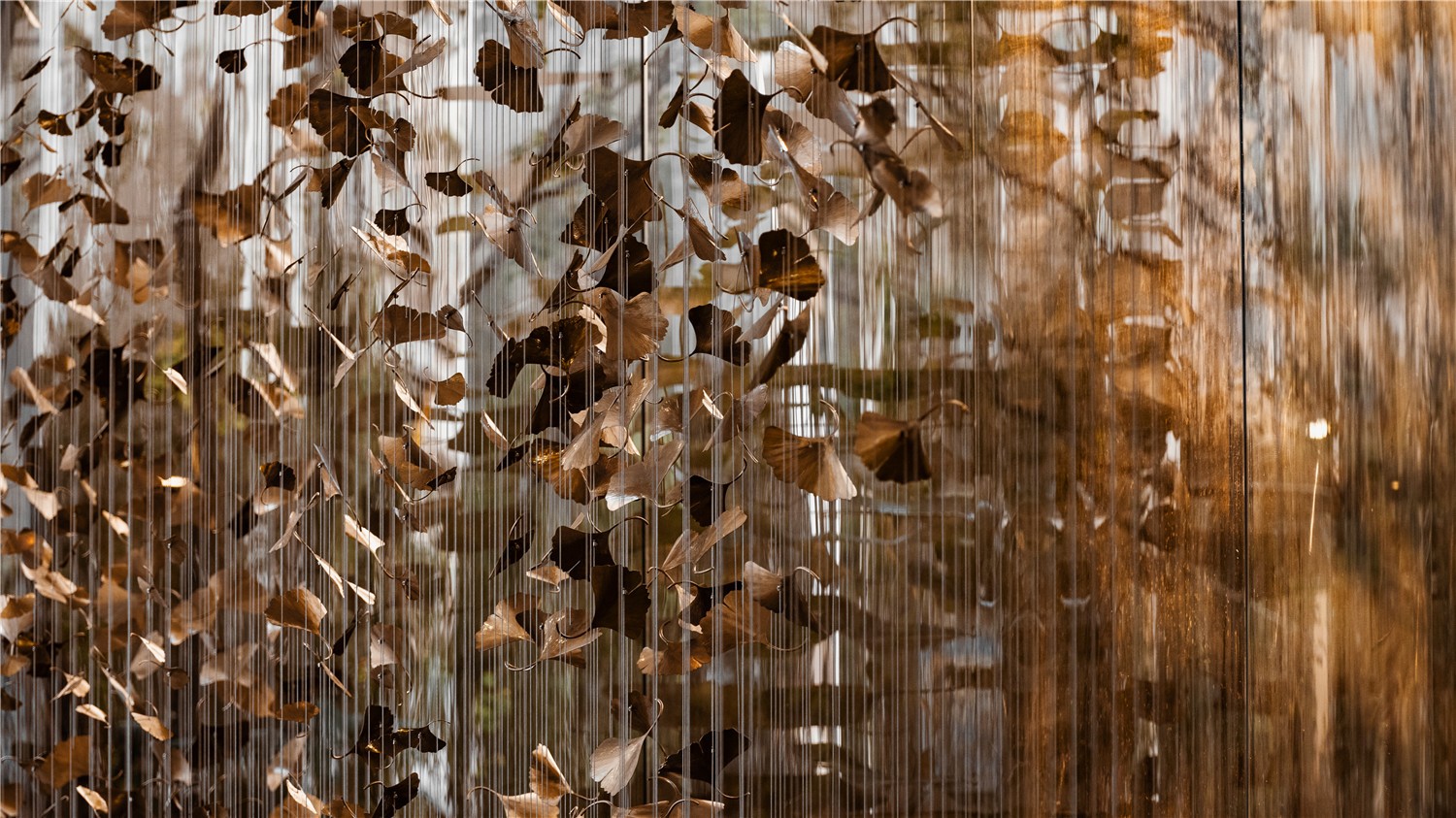 1604978997647329.jpg TANG7778.jpg