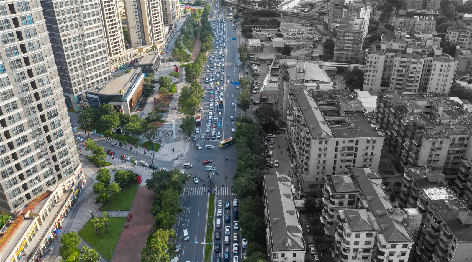 1605527018196778.jpg 魯冰.jpg