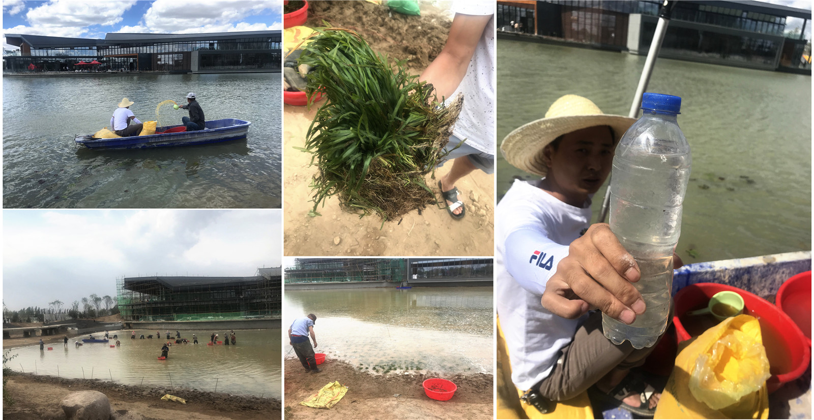 32 水生態(tài)實(shí)施過程.jpg