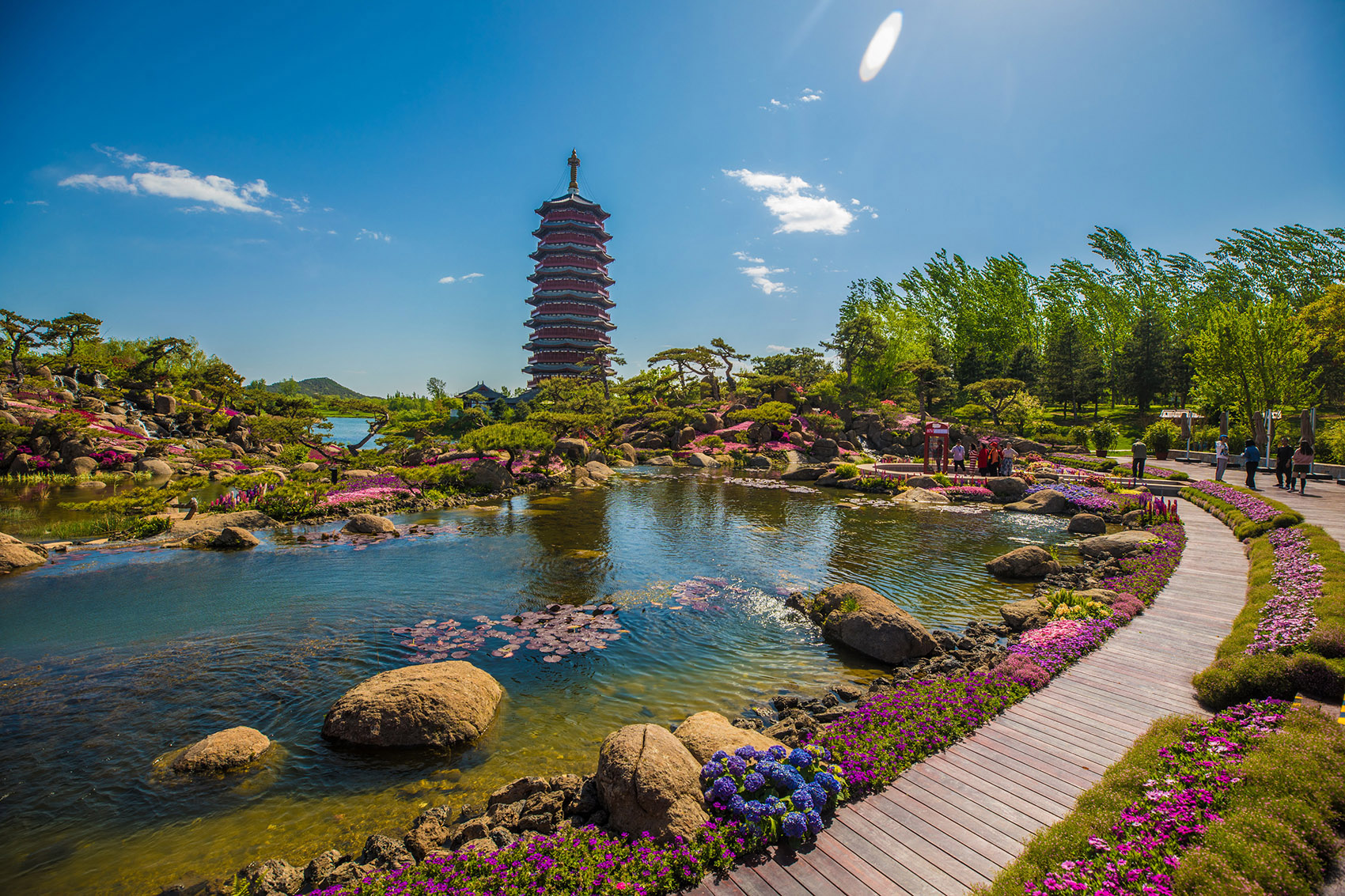 1606713680704997.jpg 1.jpg