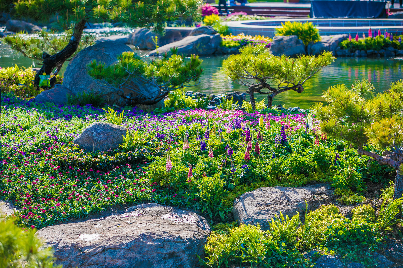 1606713823547778.jpg 14.jpg