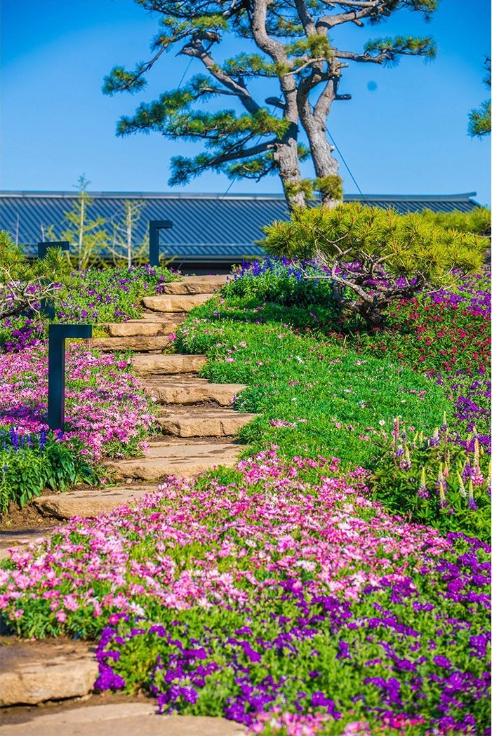 1606787256643244.jpg 1606713810301440.jpg