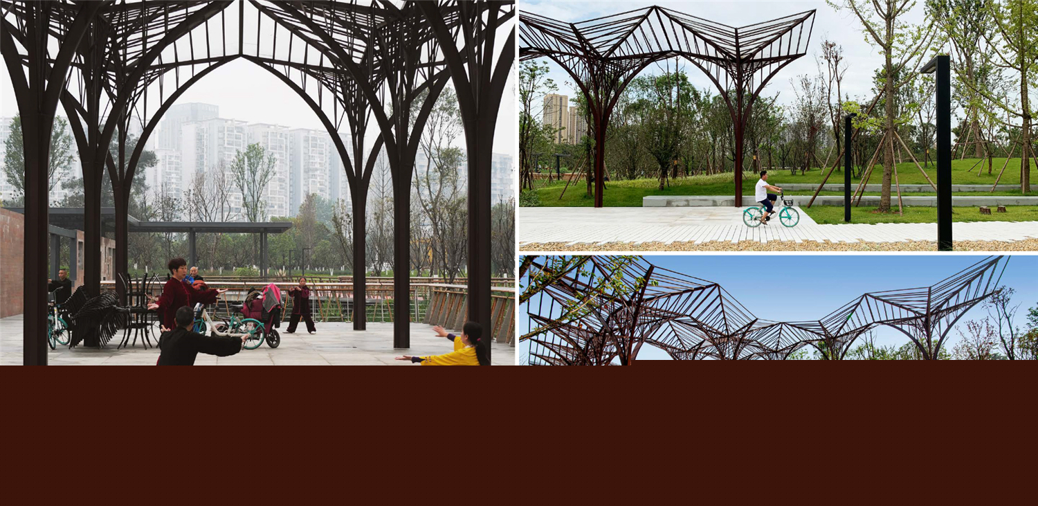 007 Distinctive Canopy.jpg