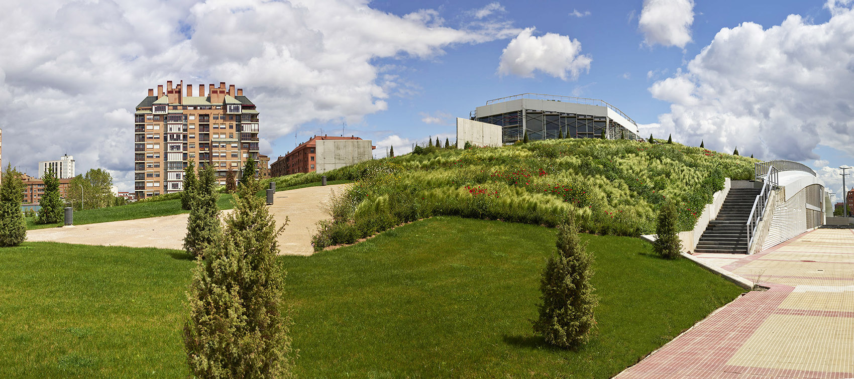 1608270746250074.jpg 5.jpg