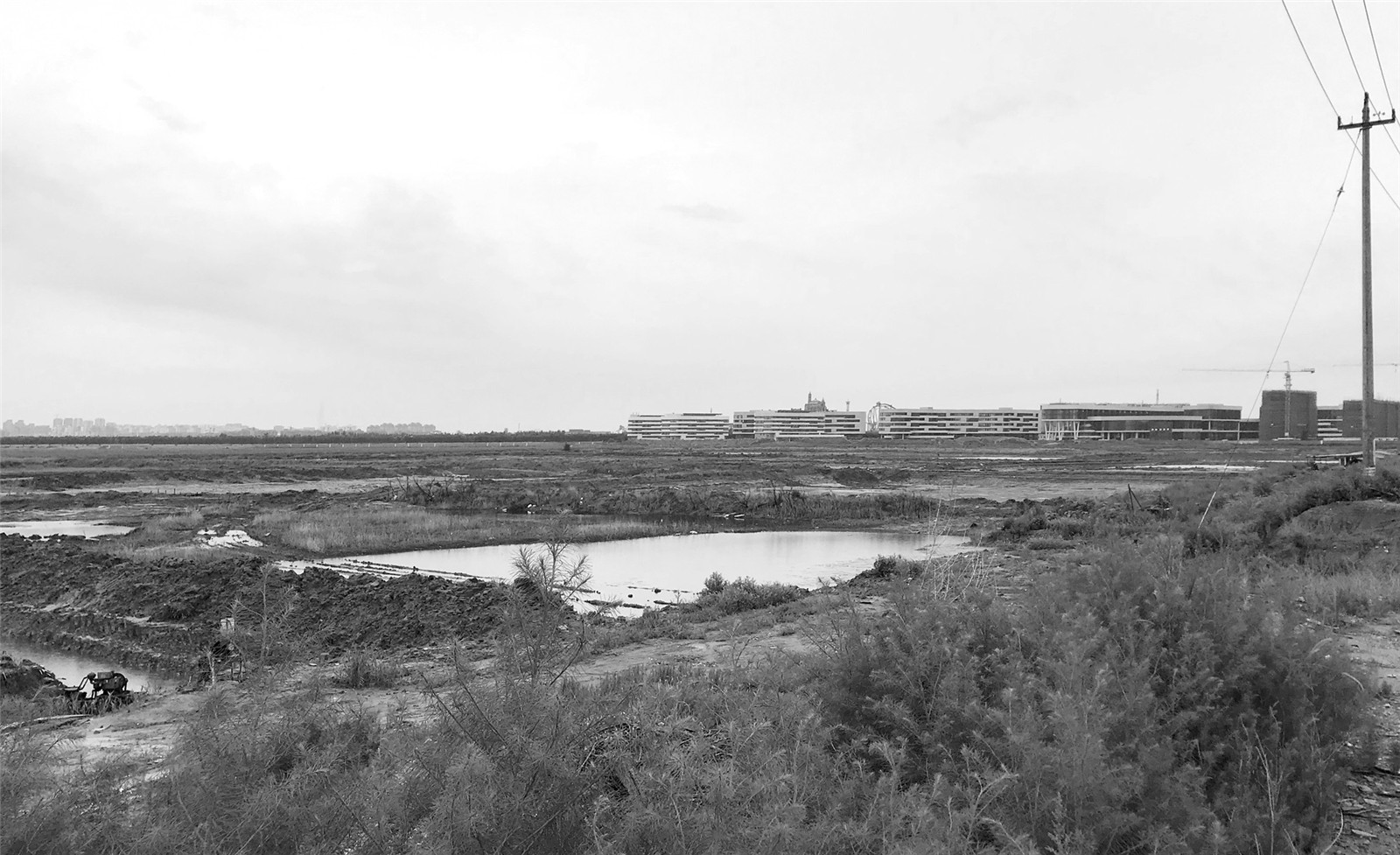 1608535459358227.jpg 4.jpg