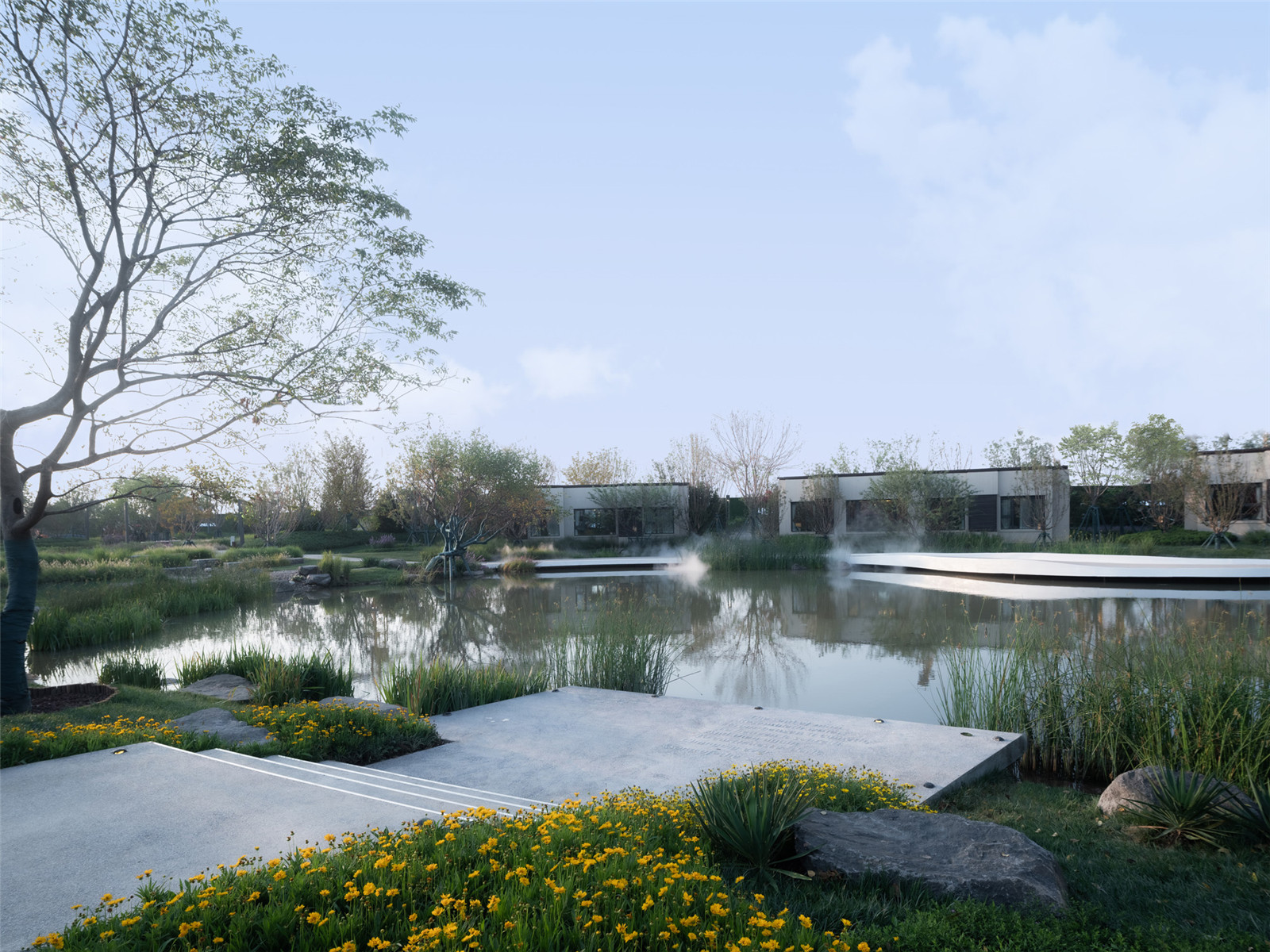 1608535585648961.jpg 13.jpg