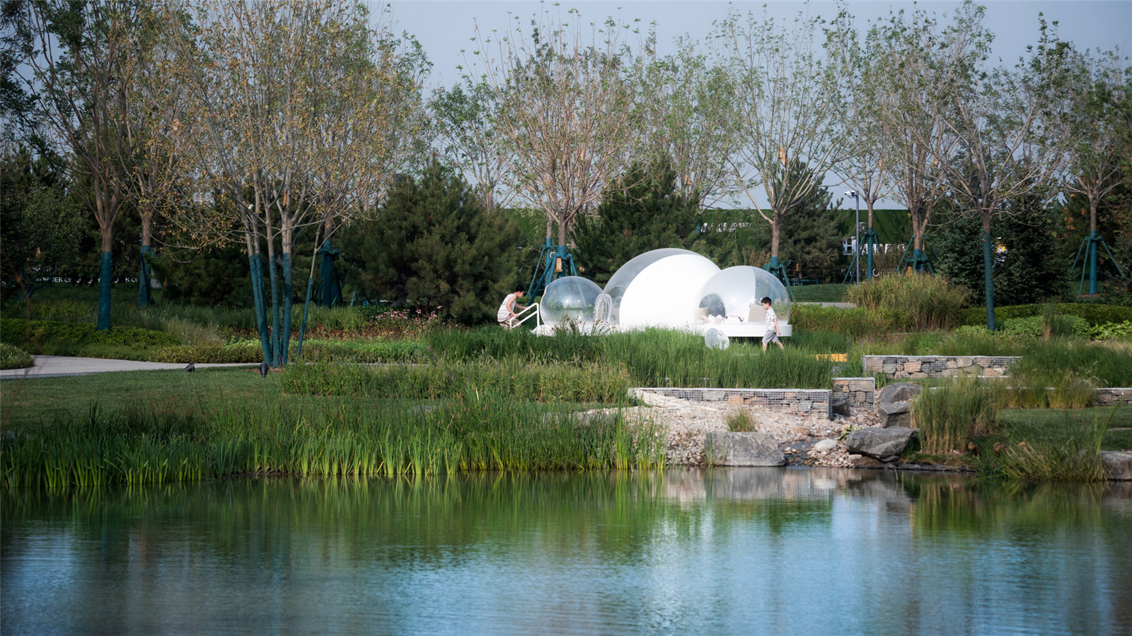 1608535782515455.jpg 26.jpg