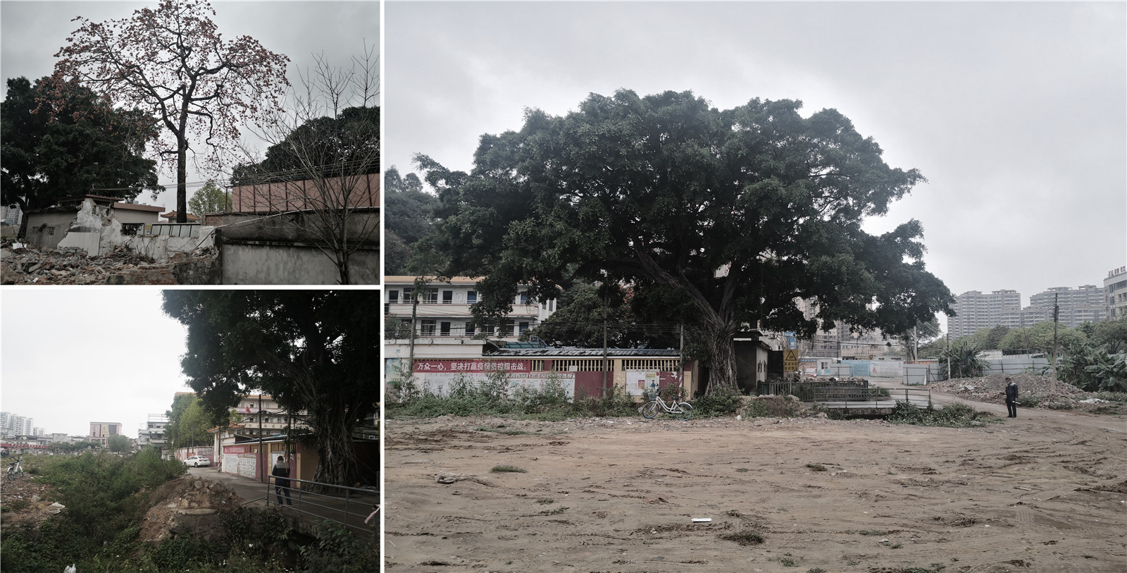 1609310593544497.jpg 03.jpg