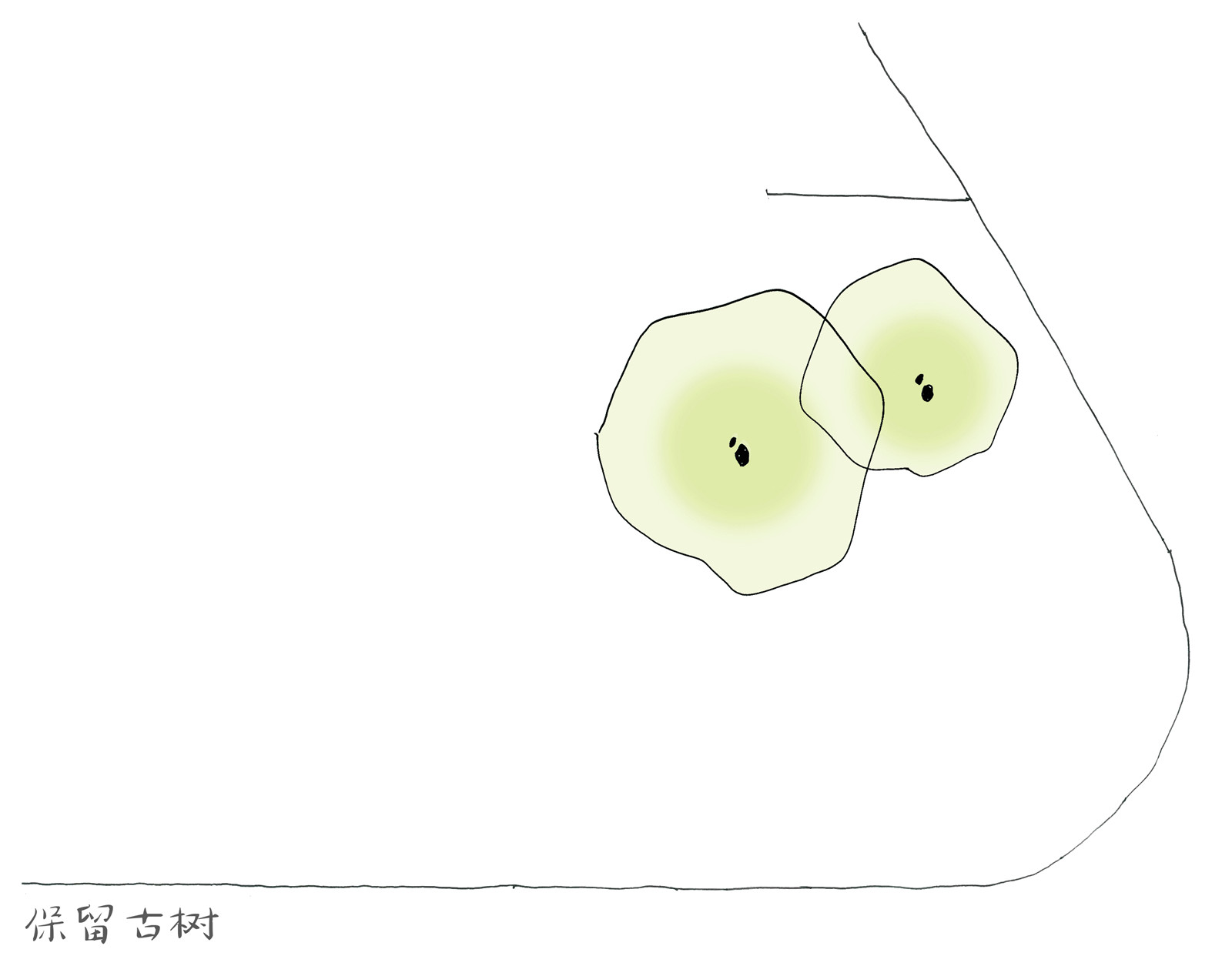 1609310623340785.jpg 05.jpg