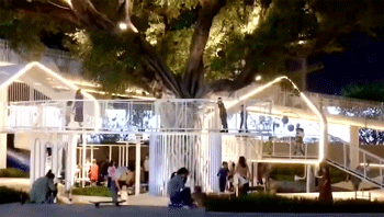 1609730255285847.gif 23.gif