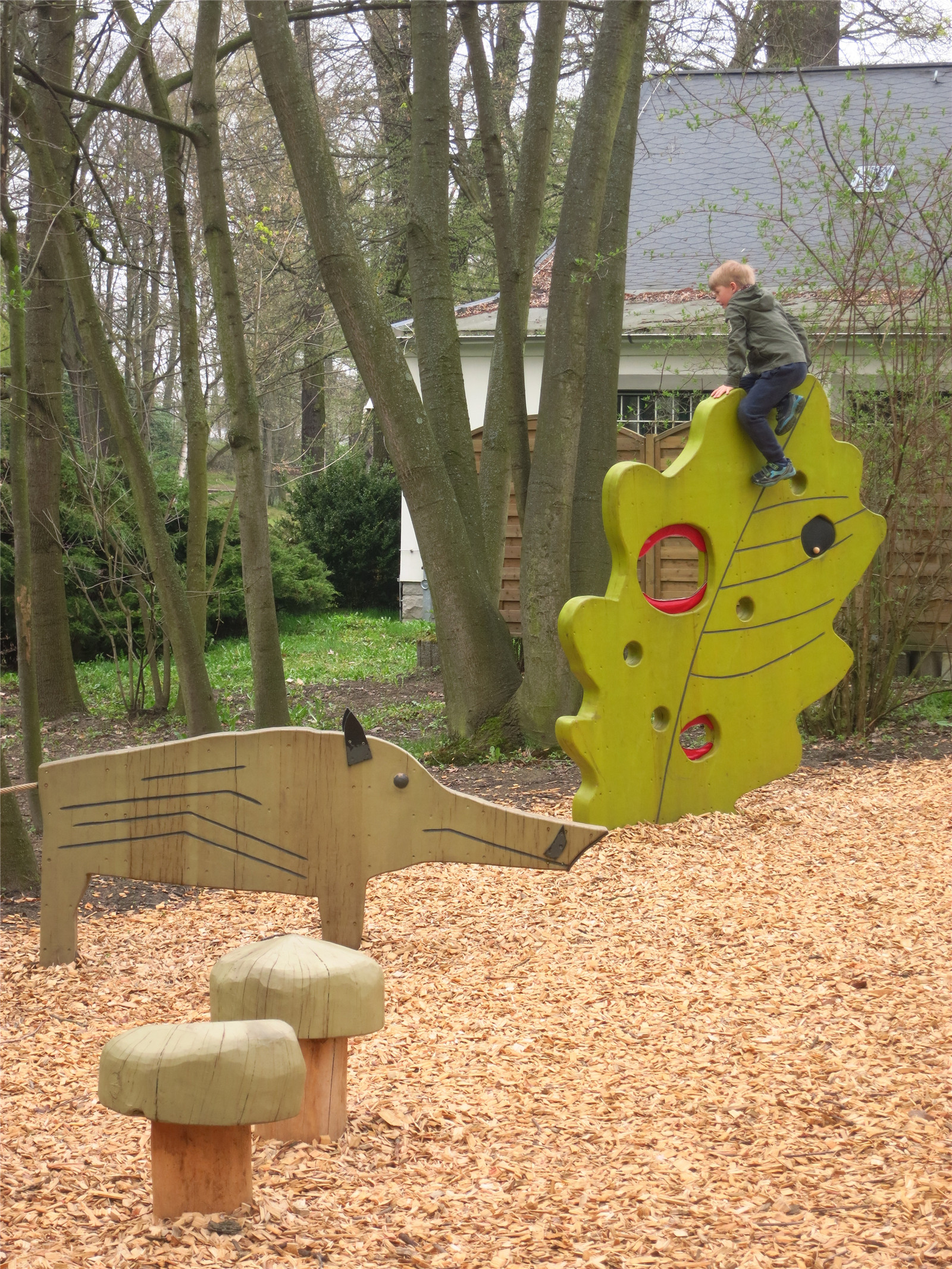 1609993361802771.jpg 21.jpg