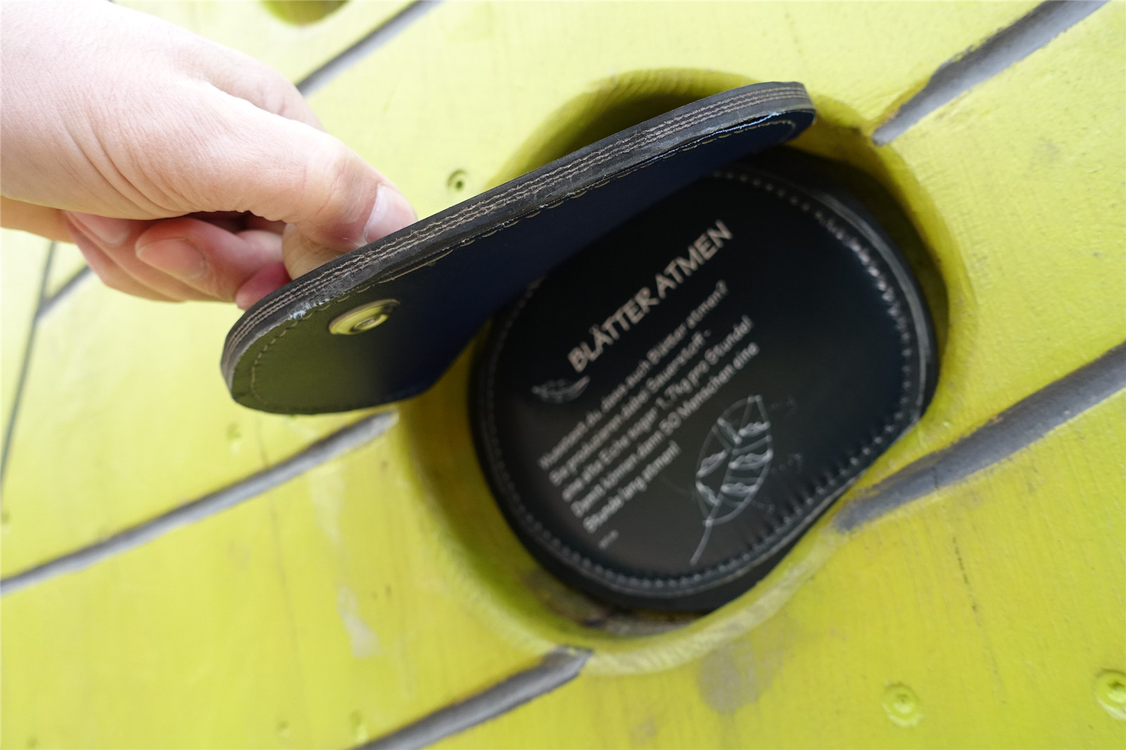 1609993659133579.jpg 27.jpg