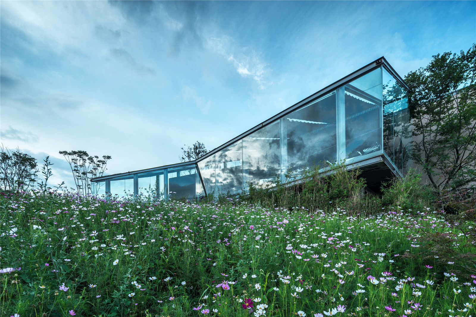 4.為了修復被煙葉種植和大量化肥污染的土壤，設計團隊種植了大片花田，以改良土壤酸堿性和密度。PHOTO BY 金鋒哲.jpg