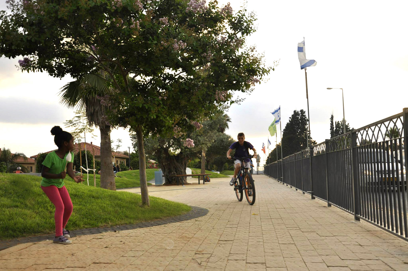 1611073955146999.jpg 10.jpg