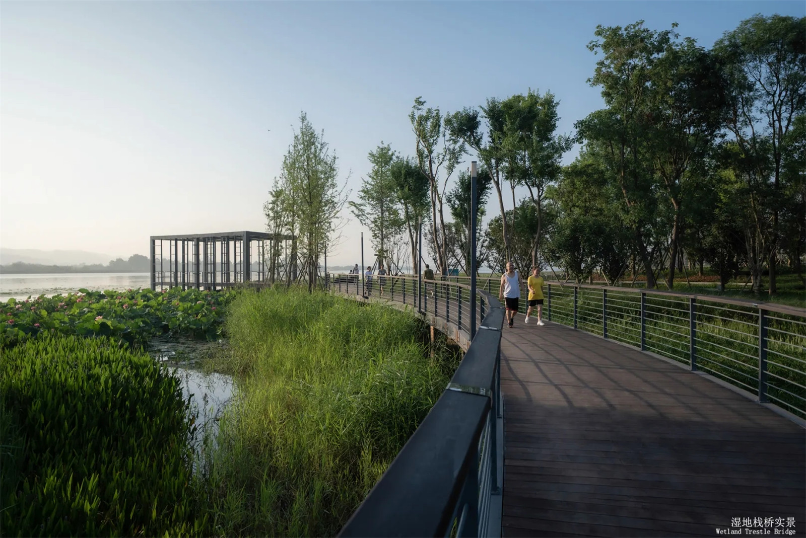 1611297072276348.jpg 640.webp.jpg