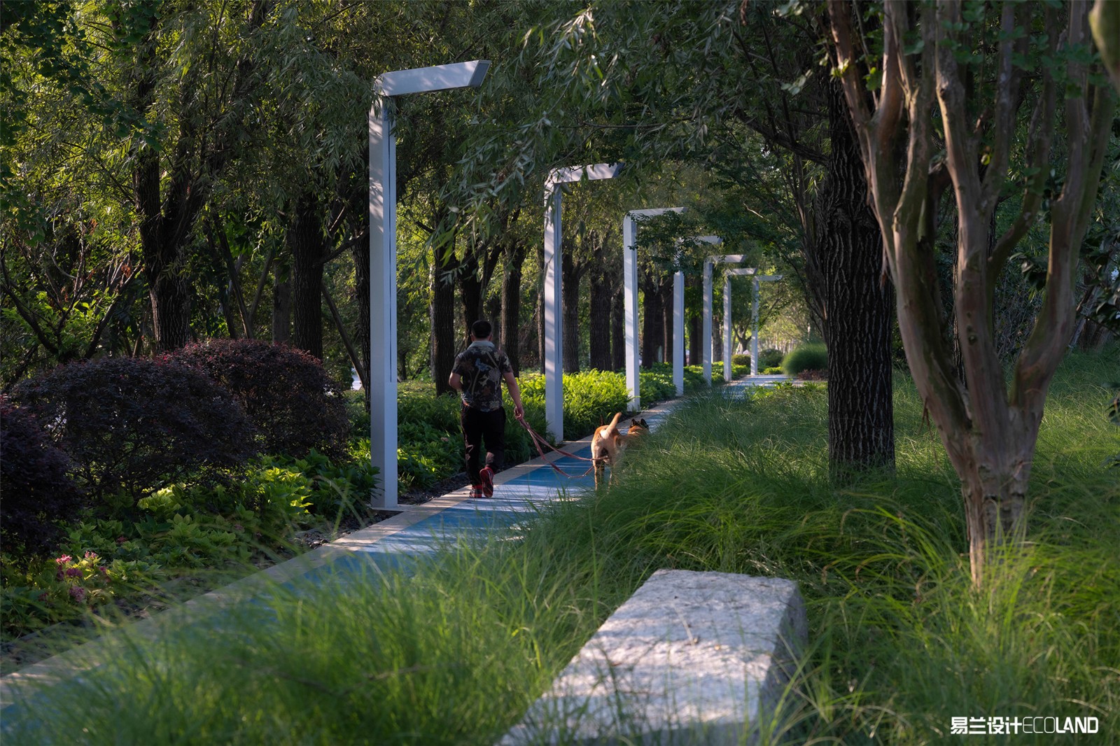 1611625981546981.jpg 遂寧南濱江公園 (16).jpg