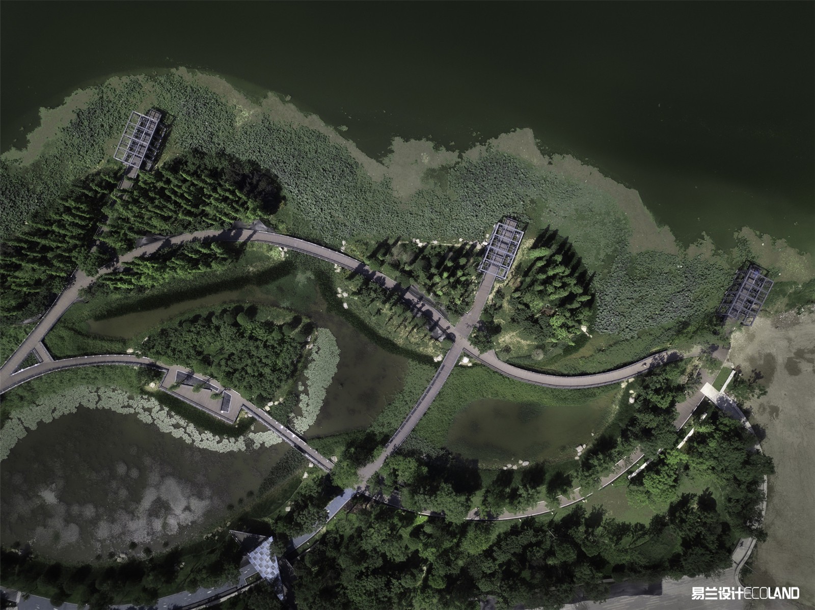 1611626087309060.jpg 遂寧南濱江公園 (19).jpg