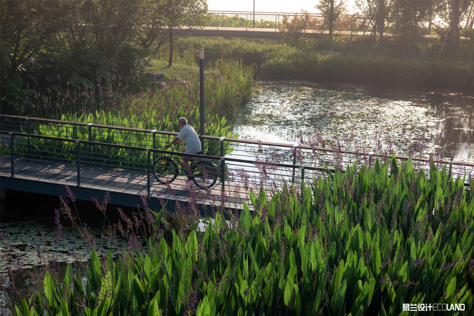 1611626191946537.jpg 遂寧南濱江公園 (5).jpg