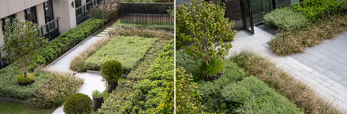 1611716294420371.jpg 未標題-2.jpg