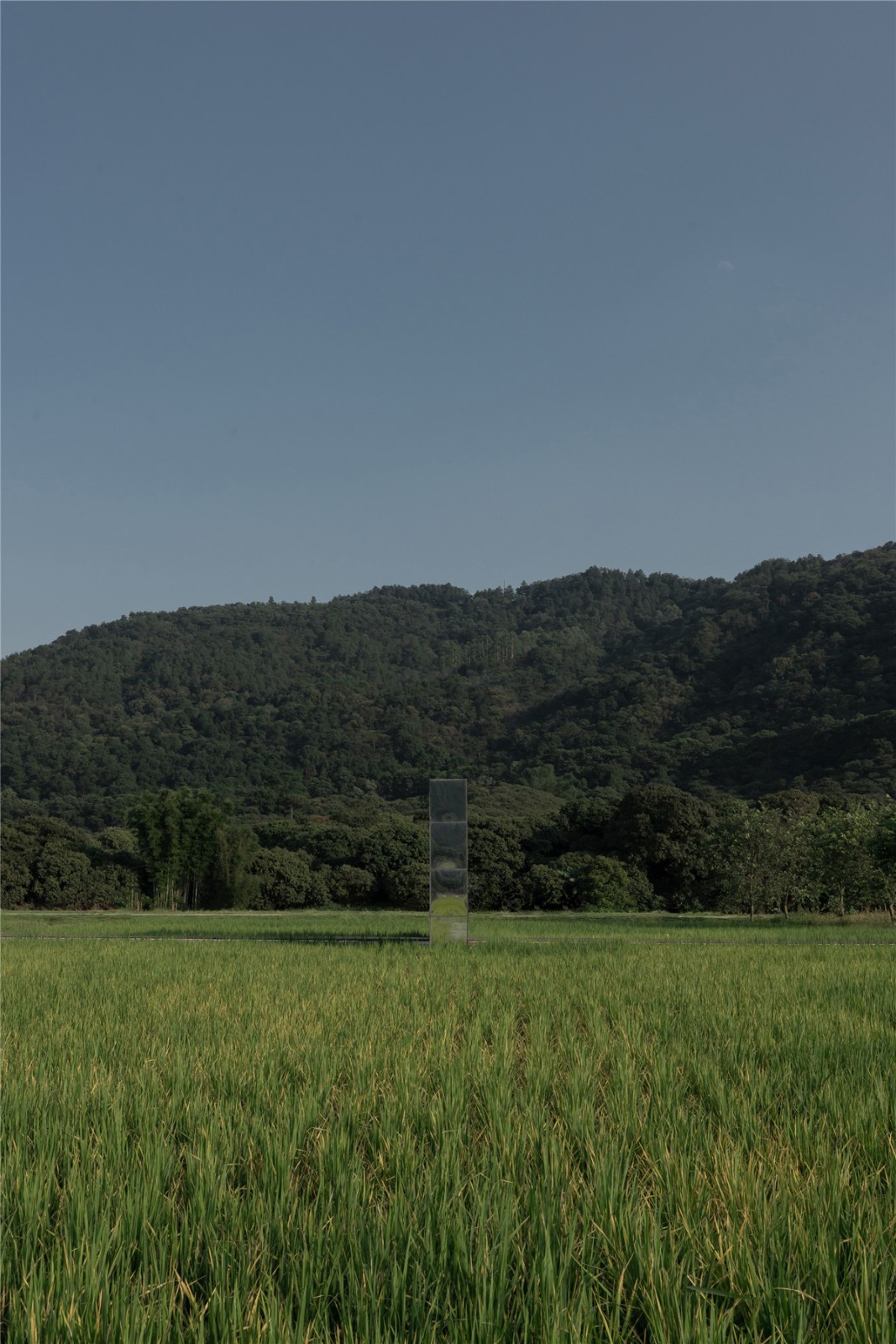 48 Object I – 早稻季實景 ?曾喆.jpg