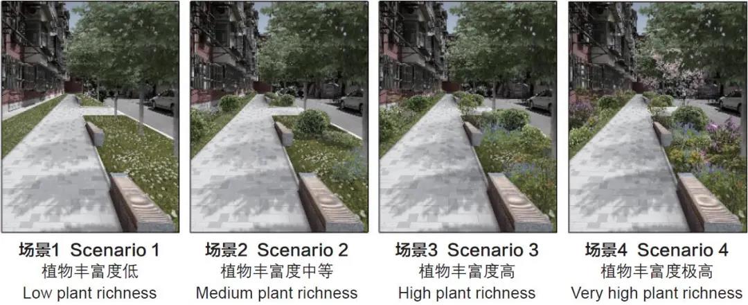 1615262451885447.jpg 3.jpg