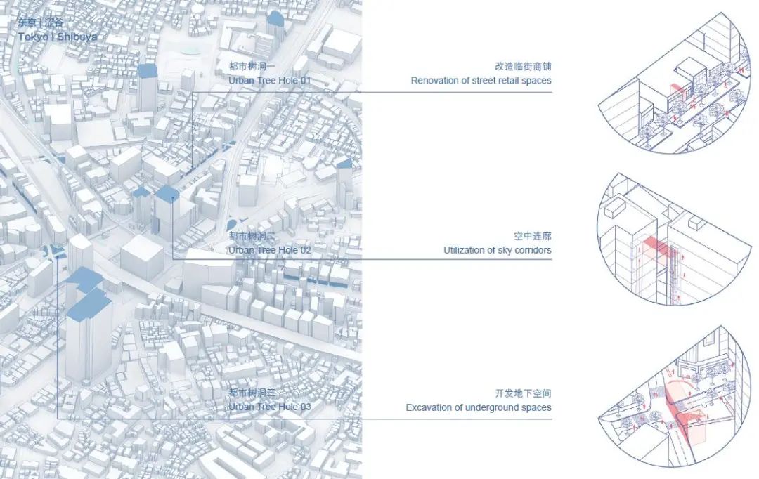 1615262812972876.jpg 7.jpg