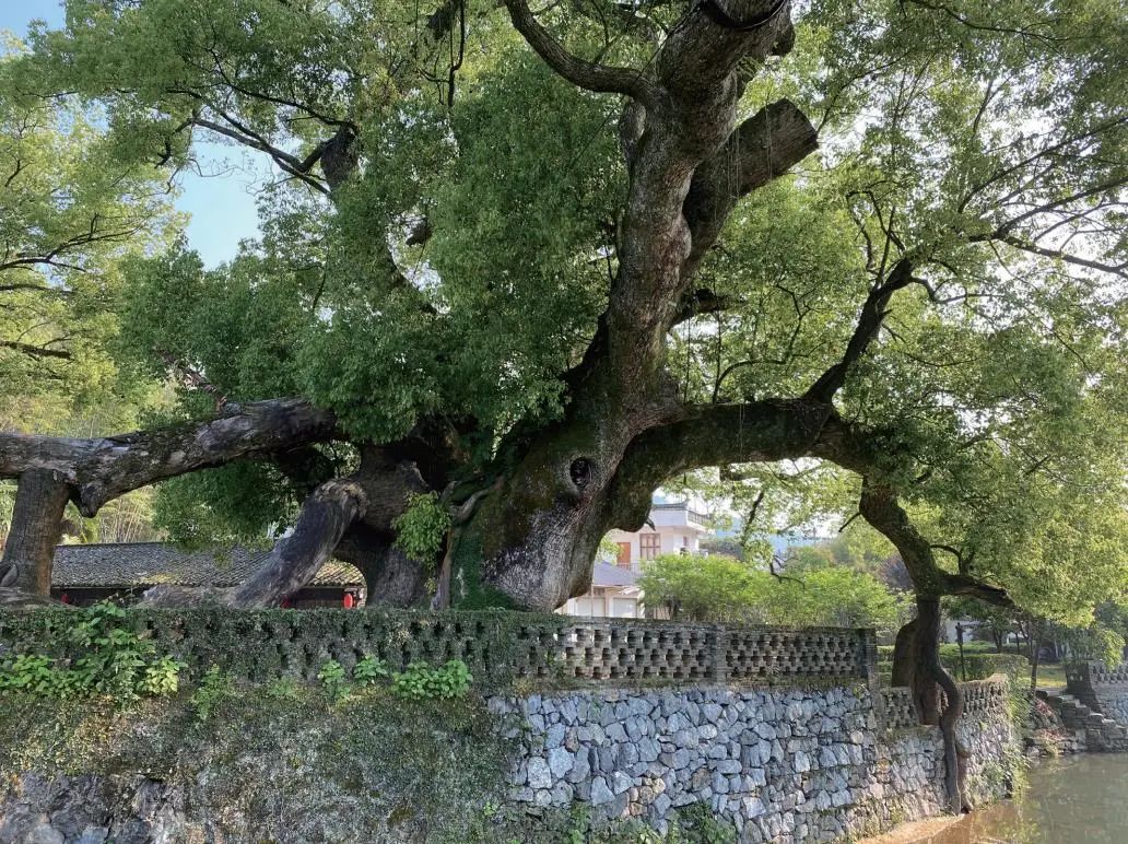 1615266270574048.jpg 15.jpg