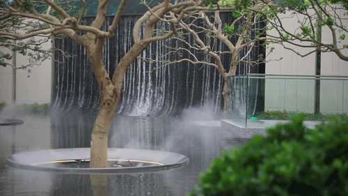 1620442330145828.gif 35.gif